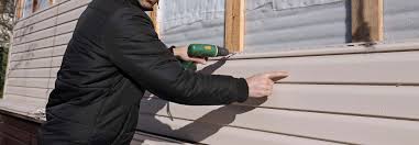 Best Vinyl Siding Installation  in Paxton, IL